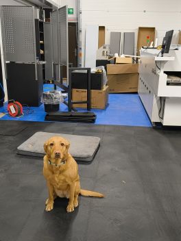 PCBA Production Floor